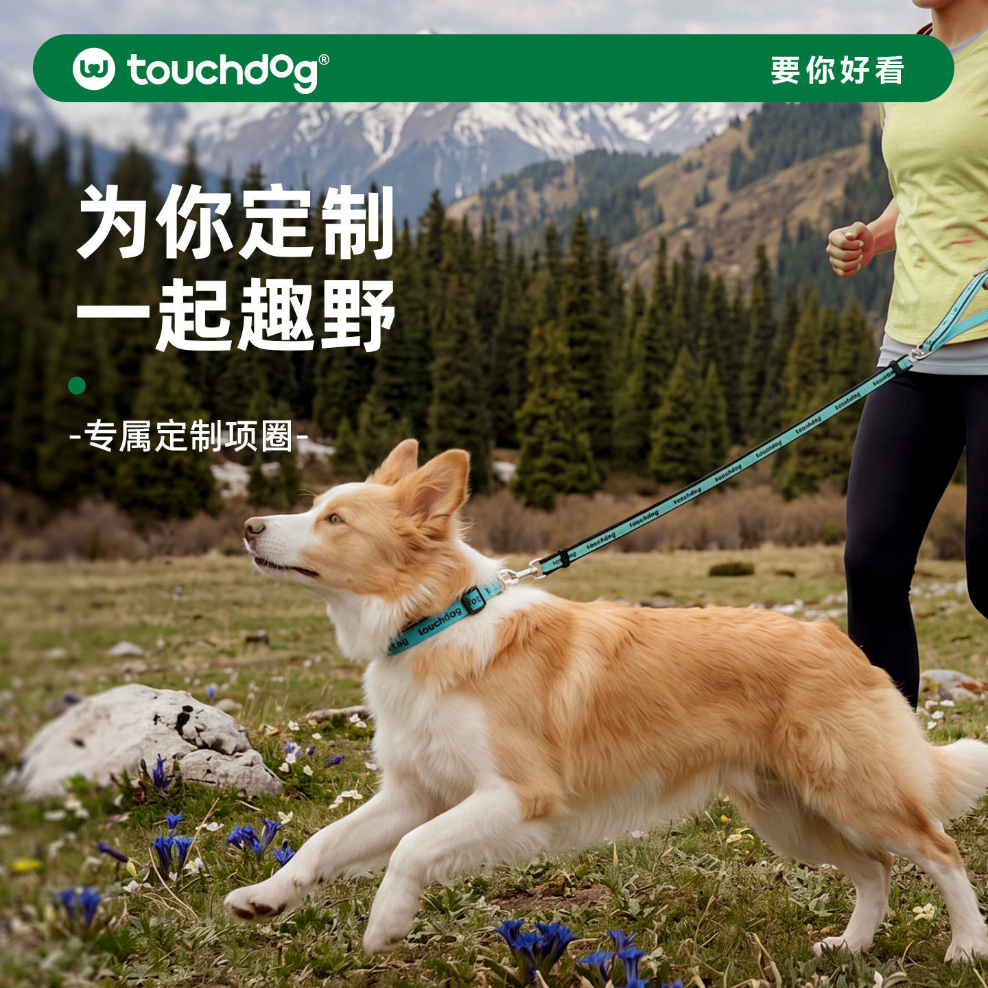联系客服Touchdog它它狗狗项圈脖圈防挣脱牵引绳