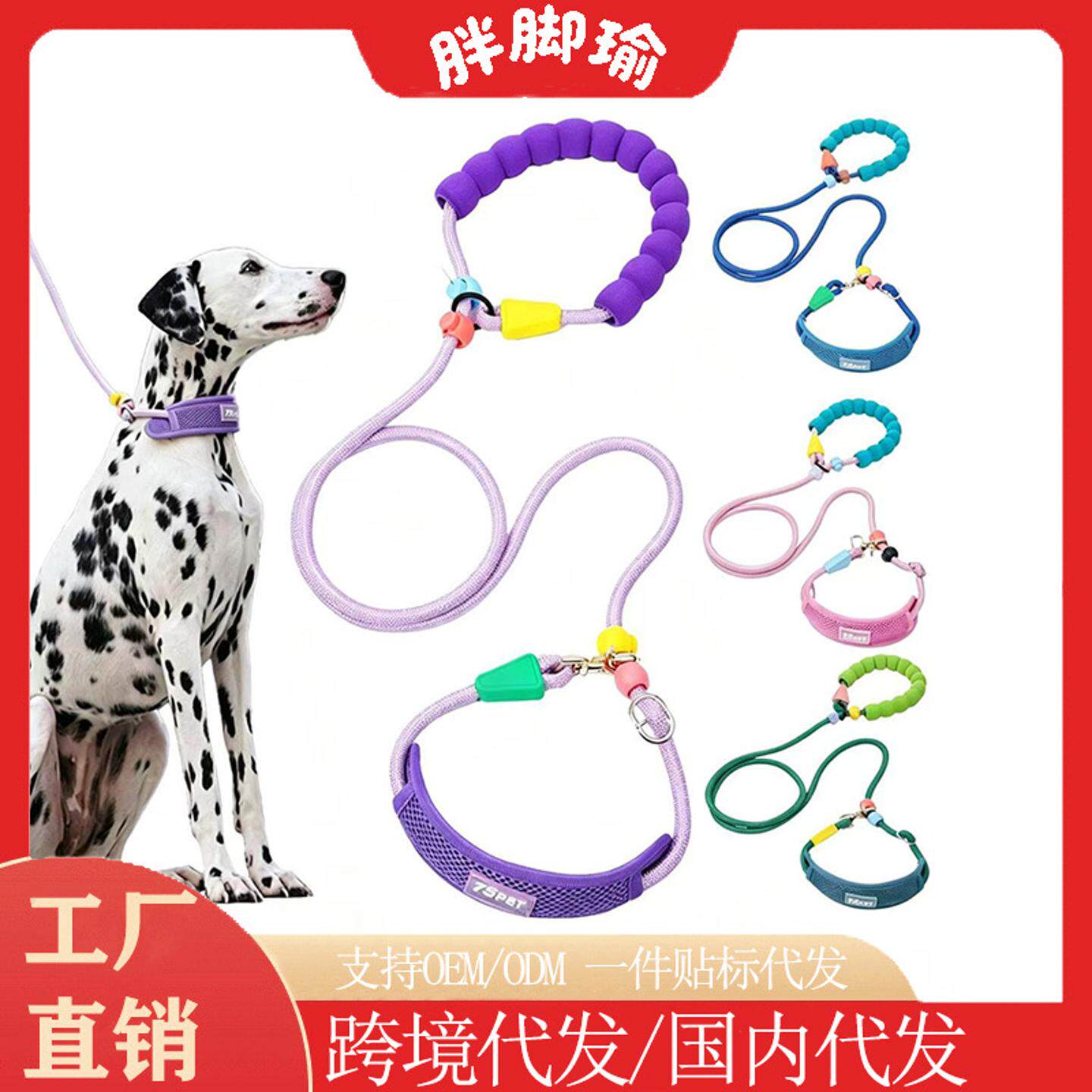 狗狗项圈脖圈柔软防挣脱耐磨户外遛狗牵引绳跨境热款宠物牵引绳