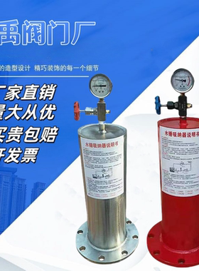 水锤吸纳器消除器9000-16C/P活塞式消除器DN506580100150200