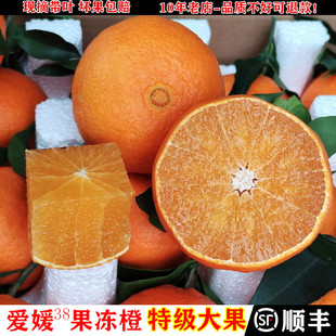 特级大果四川爱媛38果冻橙特产10斤新鲜水果橙子红美人柑橘爱媛橙