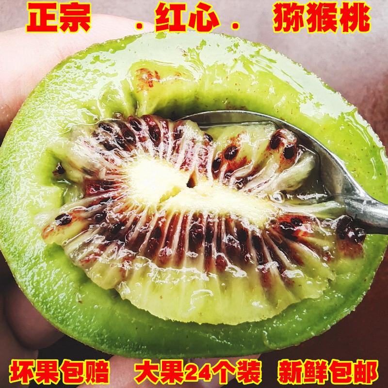 橘伯乐5红心猕猴桃正宗猕猴桃