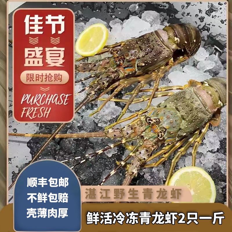 龙虾鲜活大龙虾小青海鲜水产澳洲