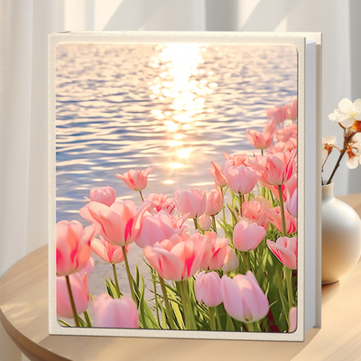 5寸6寸相册混合装1198张