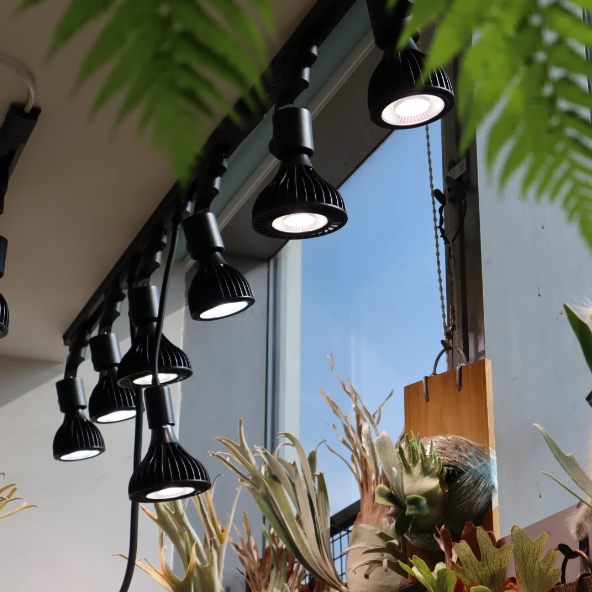 爆藻龙舌兰补鱼缸光谱全led光灯块根灯热植鹿角蕨多肉生长灯植物