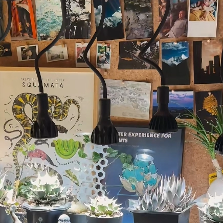 全光谱植物补光灯LED绿植墙生长灯室内热植块根鹿角蕨二线轨道灯