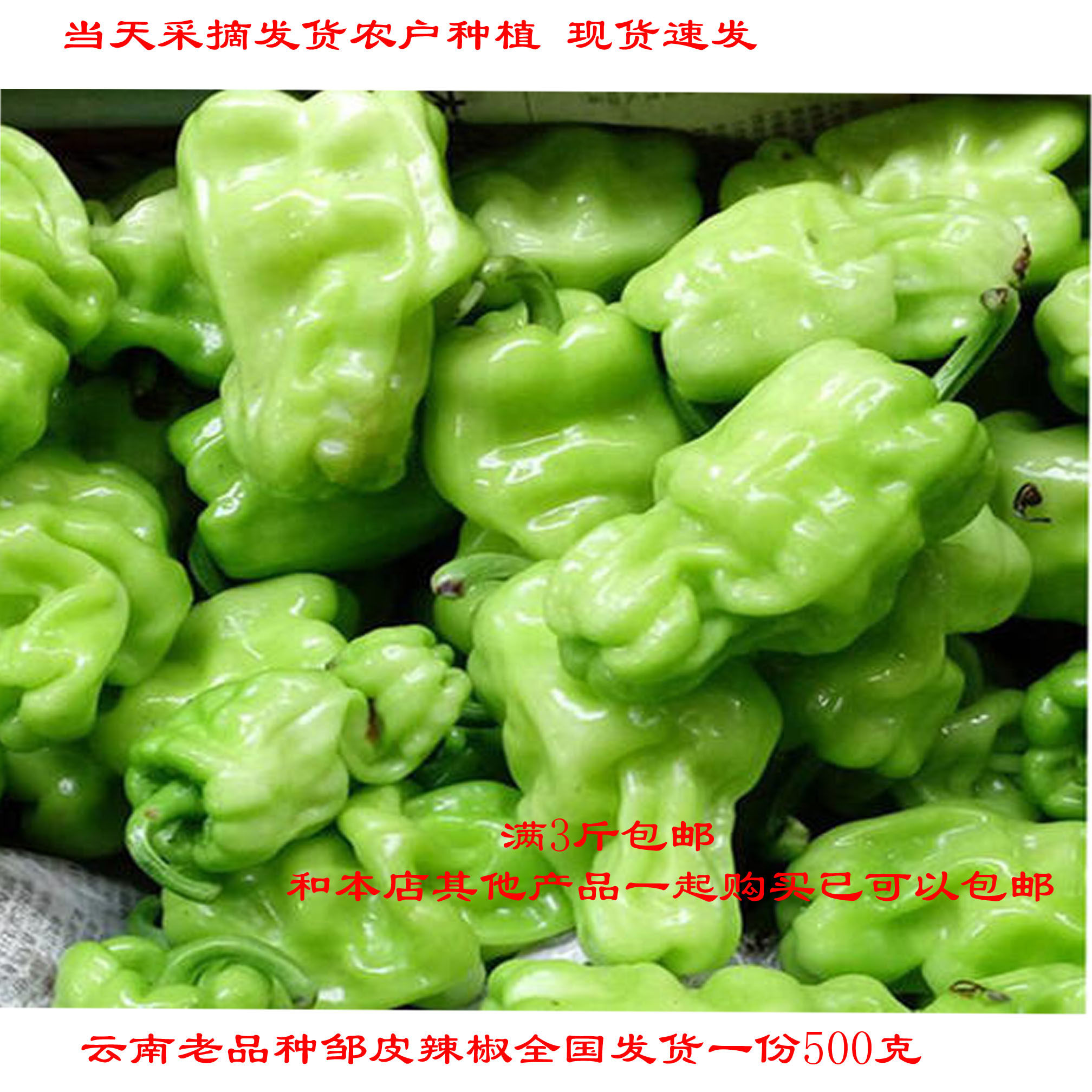 邹皮椒,皱皮椒辣不辣_大山谷图库