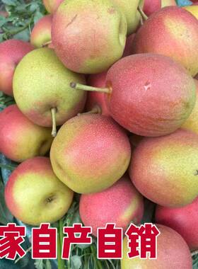 冬雪梨云南红梨特产水果红梨红皮梨宝宝辅食孕妇水果酸梨子包邮