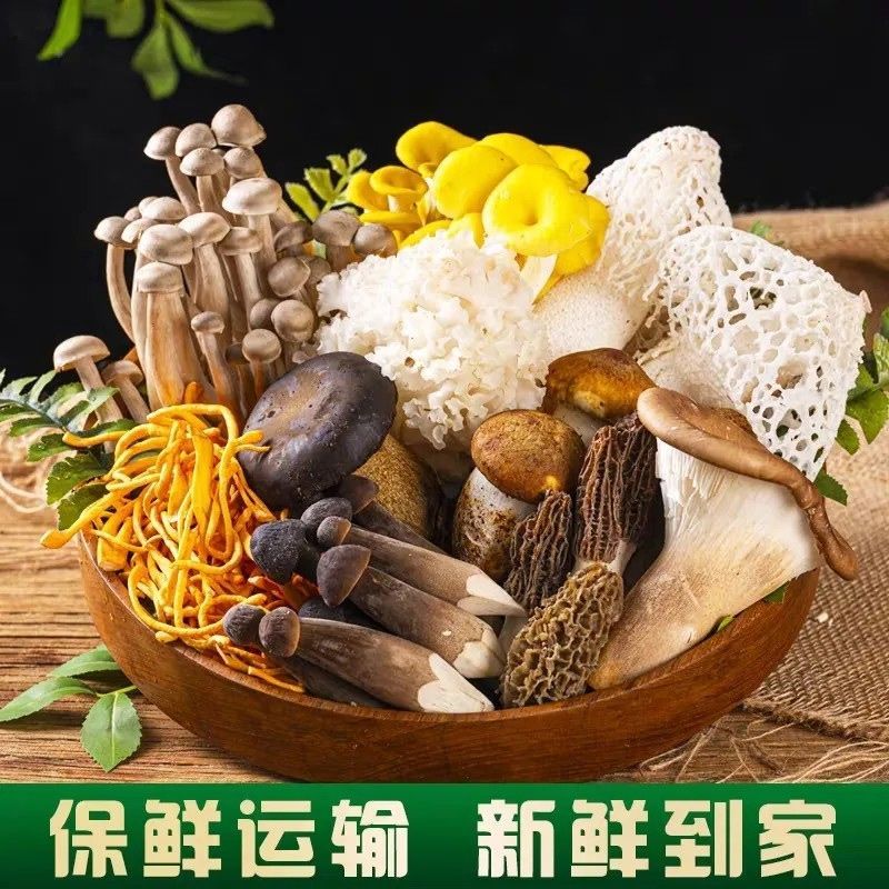 菌菇云南菌菇大礼盒绿色组合黑牛肝鸡油菌松茸菌竹荪鸡枞菌新鲜