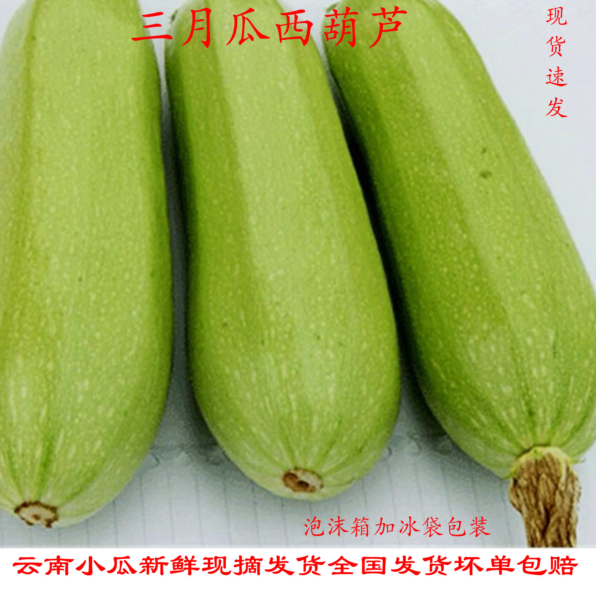 云南小瓜 三月瓜 新鲜西葫芦当季新鲜蔬菜嫩瓜甜瓜脆瓜现货包邮