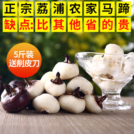 【现挖】广西特产荔浦马蹄 新鲜荸荠甜脆无渣多汁马蹄种子5斤中大