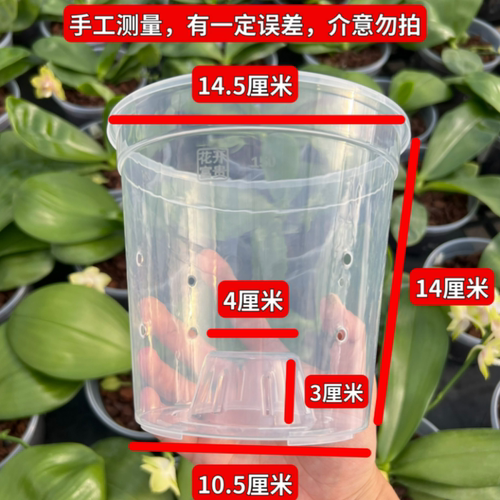 【圆形透明带孔气柱盆】蝴蝶兰石斛兰卡特兰圆形透明花盆