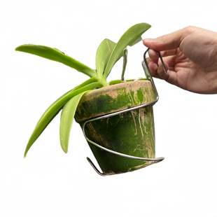 【巳蛇】兰花剩手蝴蝶兰兰花盆挂钩不锈钢花盆挂钩收纳挂钩