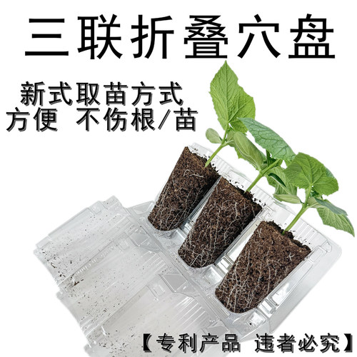 环保塑料侧开穴盘取移栽苗不伤根