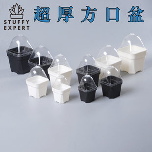 塑料方口花盆加厚超厚实耐用盆生石花番杏科仙人掌球兜鱼播种育苗