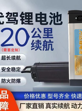折叠电动自行车锂电池48v15A20A30A外卖代驾通用大容量超轻电瓶