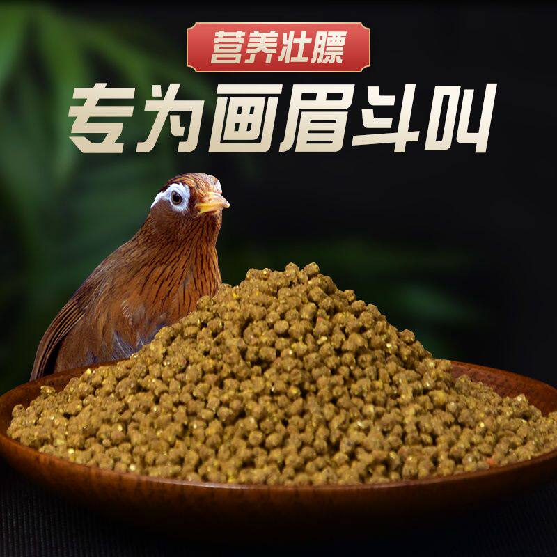 画眉斗鸟提性壮膘鸟食