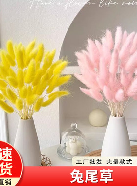 仿真花装饰花彩色兔尾草小清新