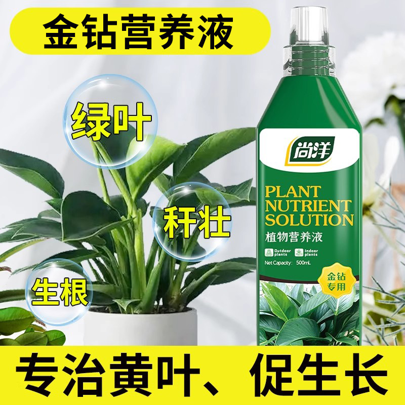 金钻专用肥料营养液家用室内肥料