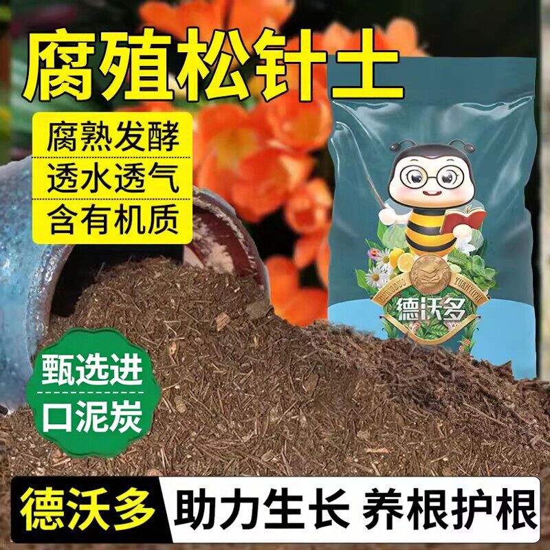 纯松针土君子兰专用腐殖腐叶腐熟图片