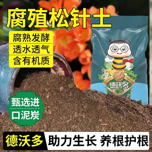 纯松针土君子兰专用腐殖腐叶腐熟