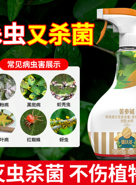 苦参碱月季花病虫害常用药杀虫杀菌剂红蜘蛛蚜虫白粉病通用花药剂
