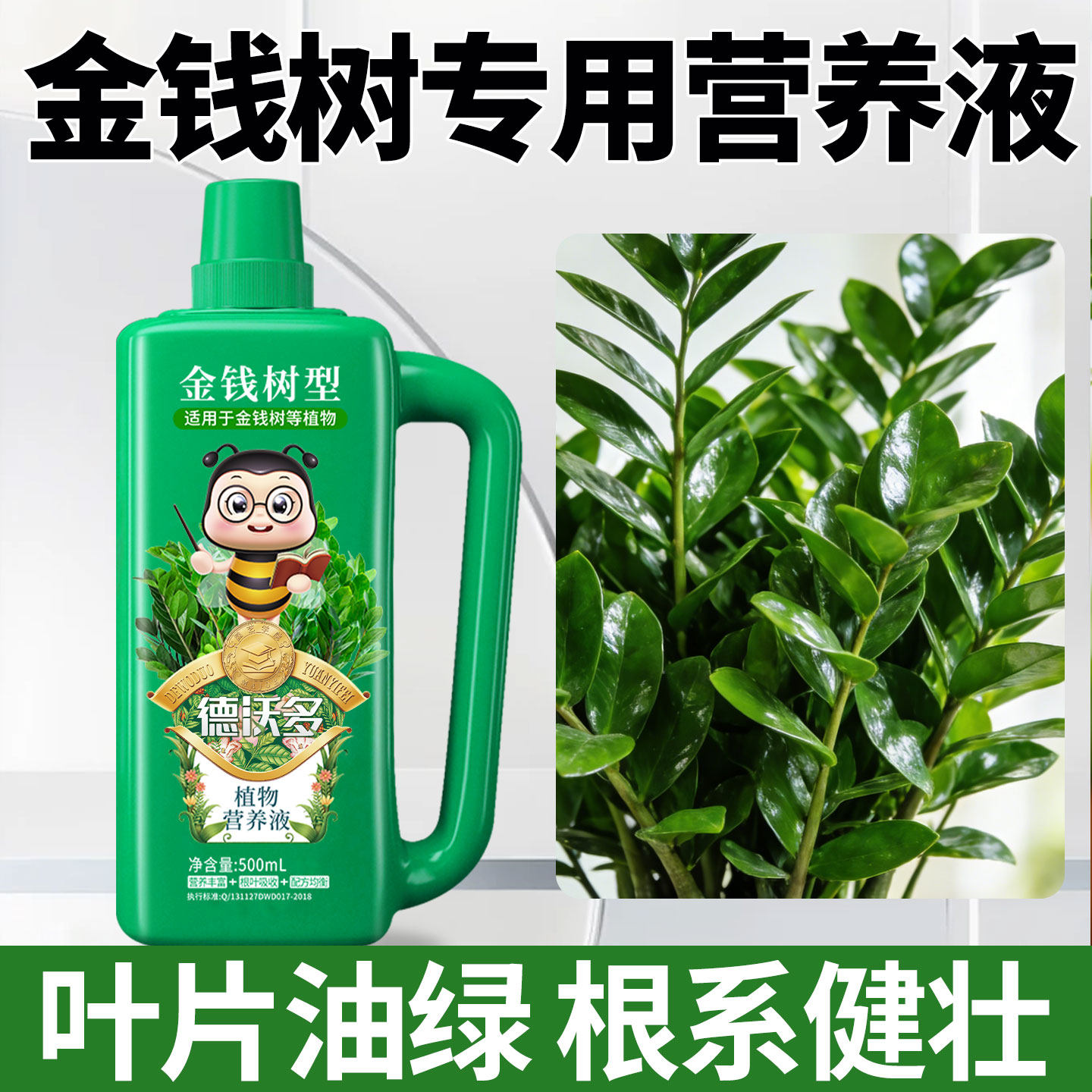金钱树专用营养液肥料防黄叶烂根图片