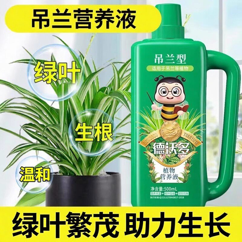 吊兰肥料专用肥营养液金边吊兰养花家用土水培盆栽植物通用型花肥