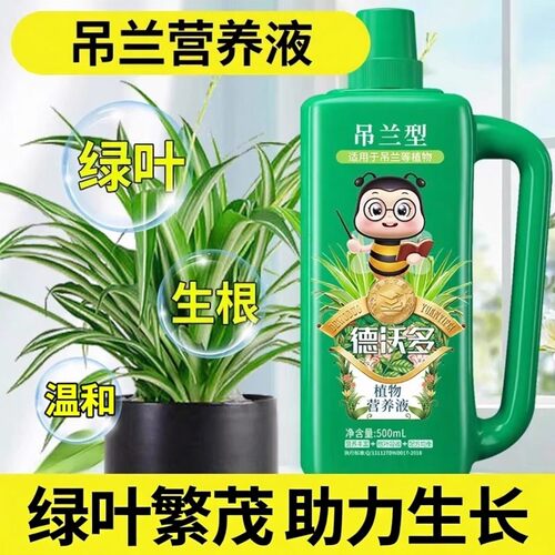 吊兰肥料营养液金边家用土水培