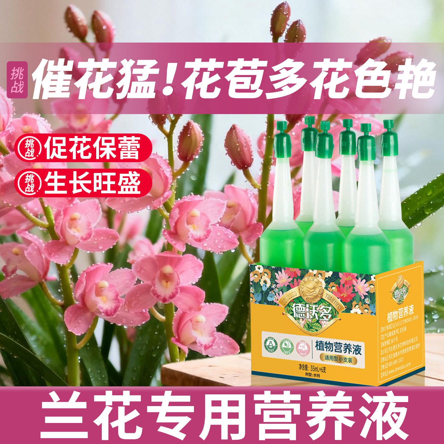 兰花专用营养液多箭素促开花爆芽素蝴蝶兰多剑王兰灵王营养液肥料,鲜花速递/花卉仿真/绿植园艺,家庭园艺肥料,淘宝优惠券,粉丝福利购,淘宝优惠卷