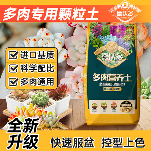 多肉专用颗粒土育苗土壤透气生根