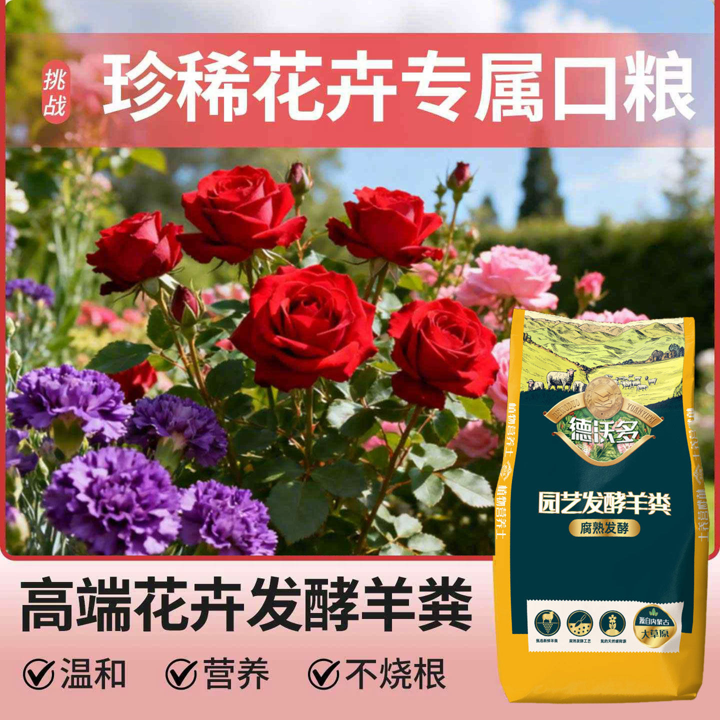 高端花卉专用纯羊粪发酵有机质农家肥内蒙古珍稀品种植物盆栽养花