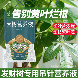 发财树专用营养液大树营养液吊针袋发财树黄叶子发黄枯叶烂根专用