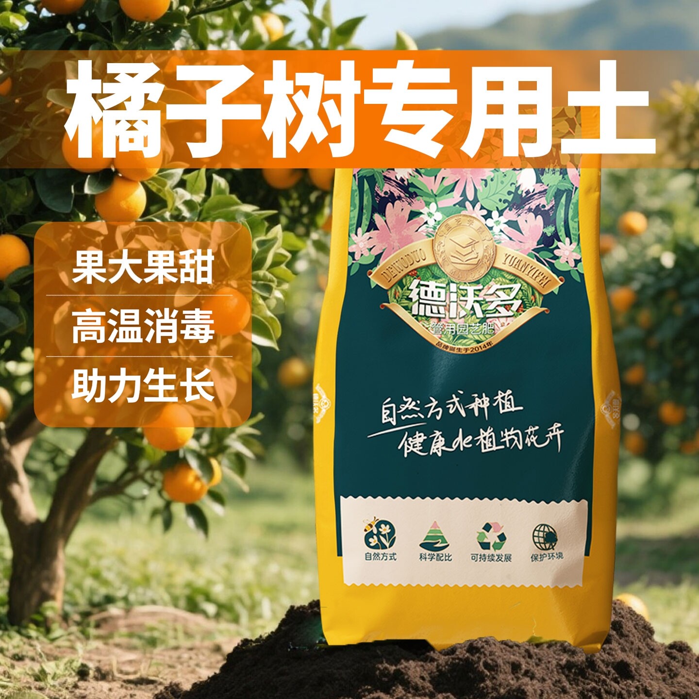 【橘子大又甜】橘子树专用营养土图片