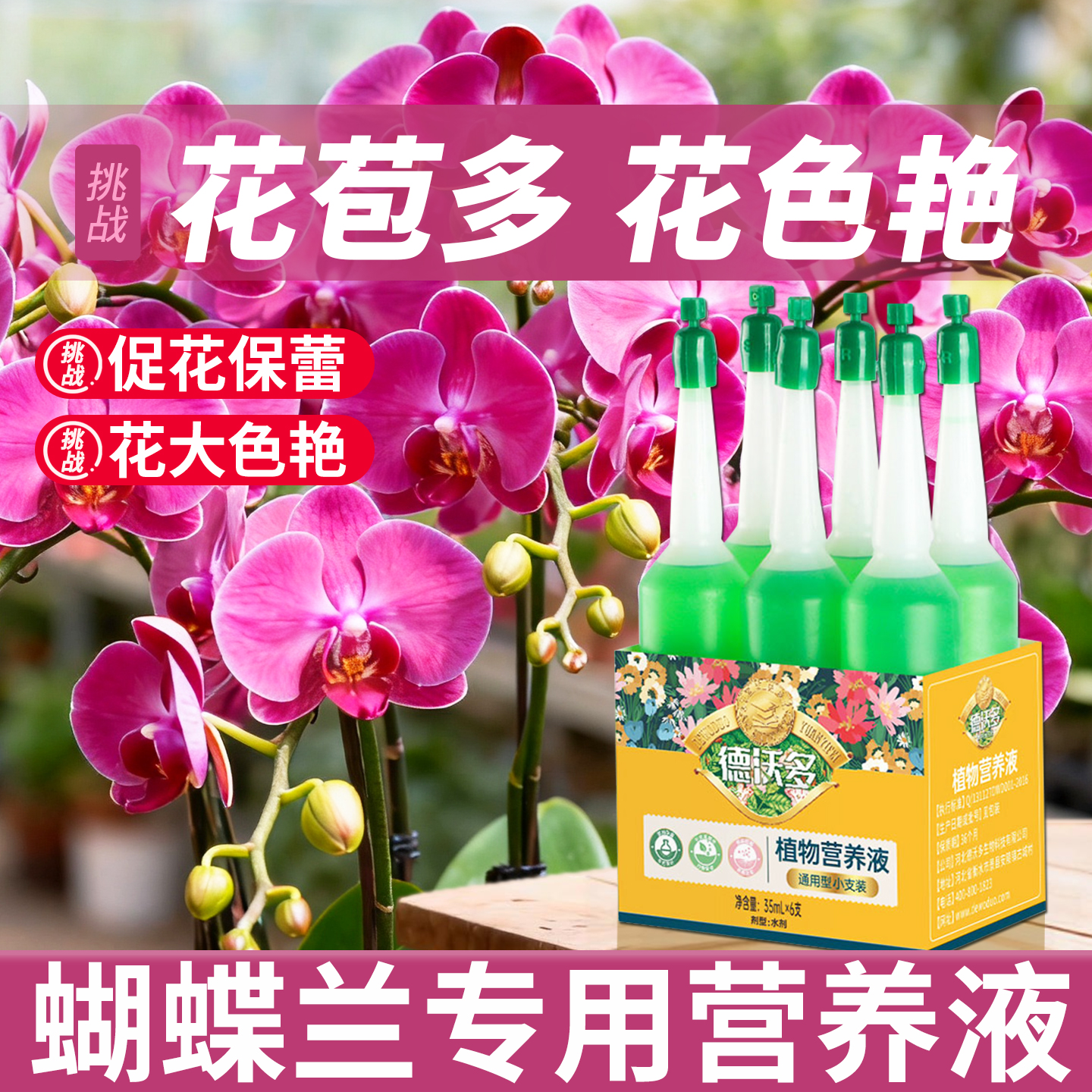 蝴蝶兰营养液抽箭肥料促进开花促兰花有机液体肥营养肥君子兰腰肥