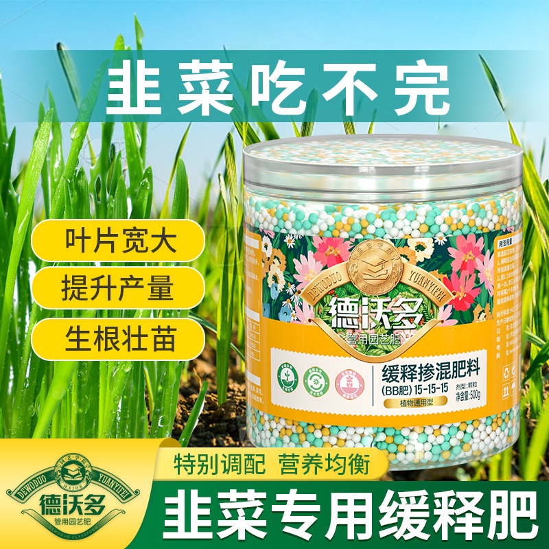 生根壮苗 提高产量