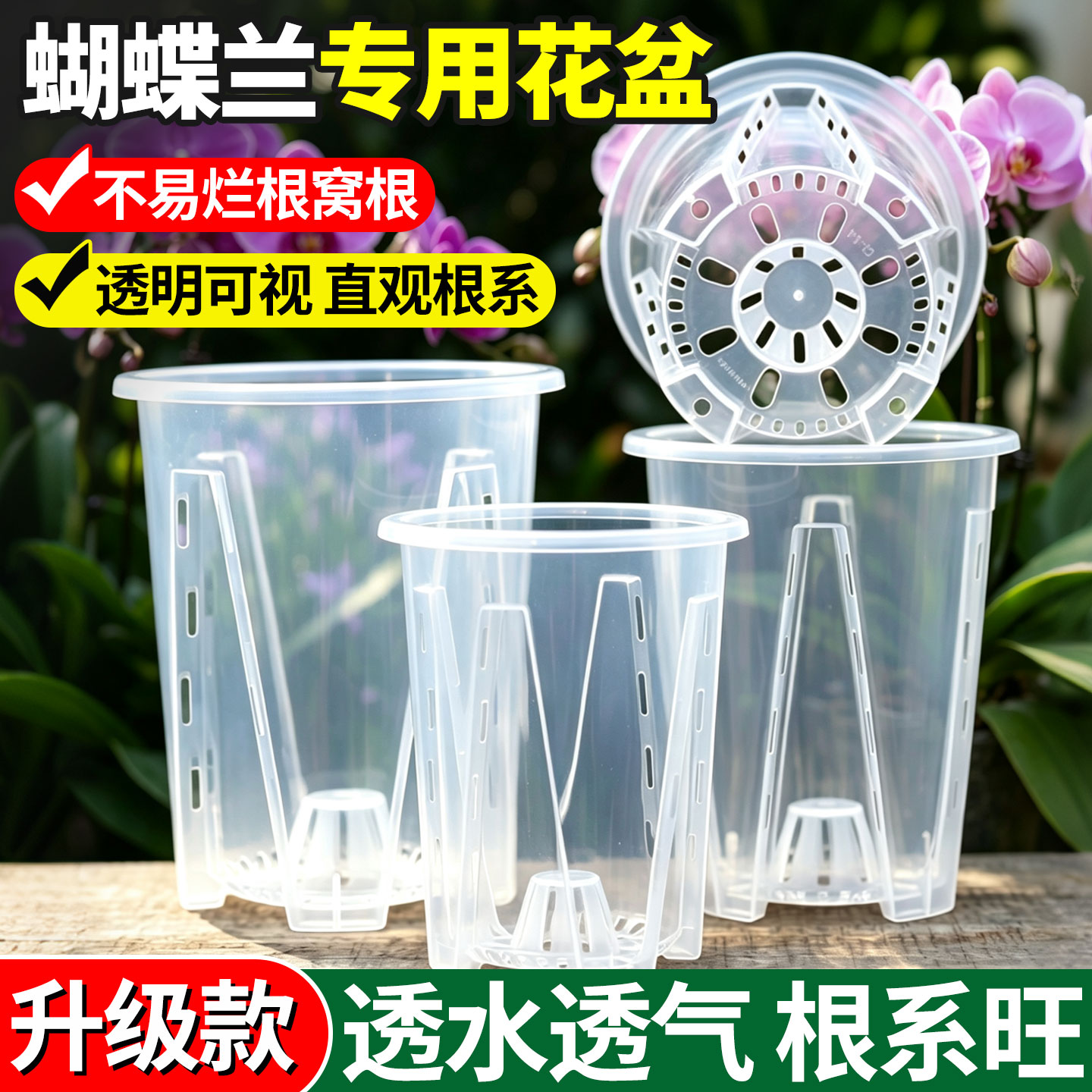 蝴蝶兰花盆专用盆大口径透明高端图片