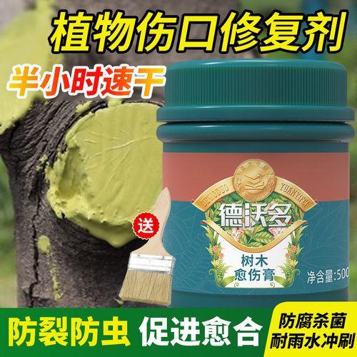 德沃多植物伤口愈合修复膏