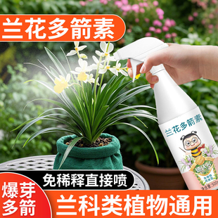 兰花多箭素爆芽素兰科植物通用营养液兰灵王蝴蝶兰多剑促花箭花肥