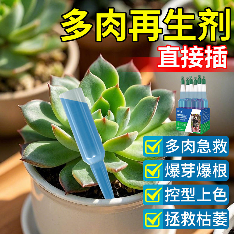 多肉营养液再生剂盆栽营养液肥料多肉植物肥料复活液爆芽上色生根
