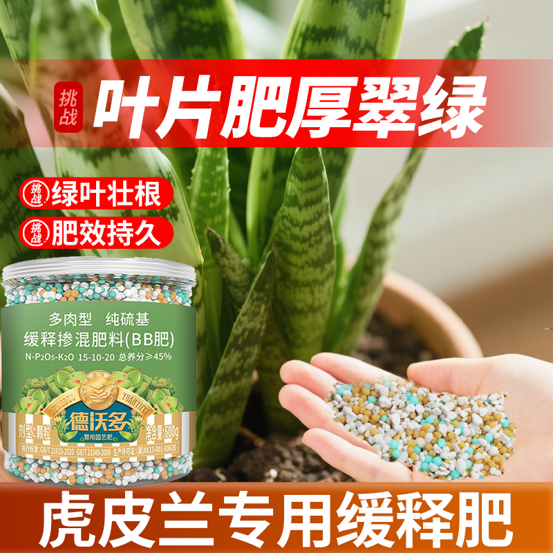 【治黄叶烂根】虎皮兰专用缓释肥