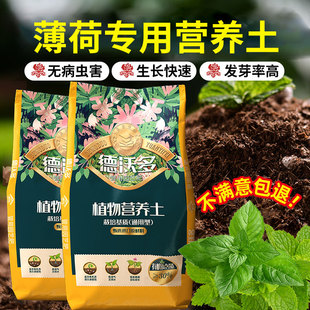 种薄荷营养土专用土花土盆栽养花通用型土壤花泥土有机种植土肥料