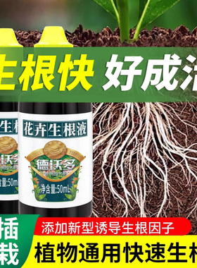 快速生根液植物通用生根水扦插壮苗强力生根粉多肉扦插专用生根剂