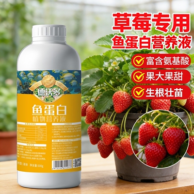 鱼蛋白水溶肥草莓专用肥氨基酸花肥料营养液草莓肥料膨大剂膨果肥