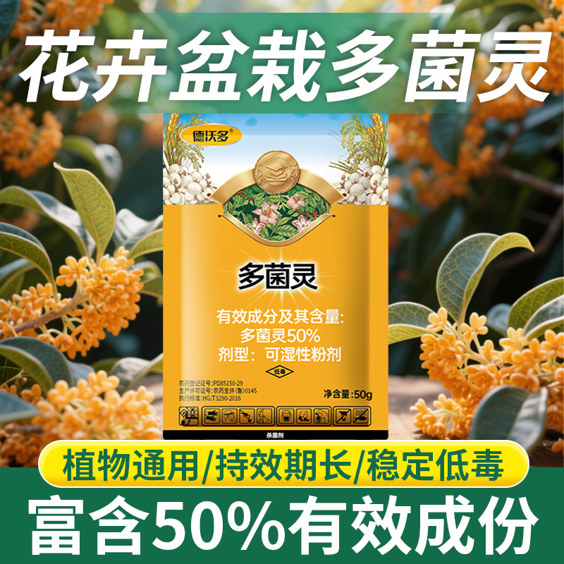 桂花专用杀菌剂焦叶枯叶干尖通用