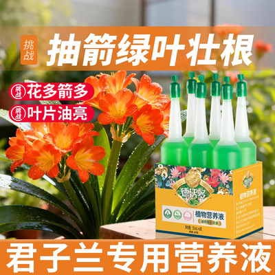 君子兰营养液抽箭开花素开花肥料兰花卉专用肥料拔箭营养液无机肥