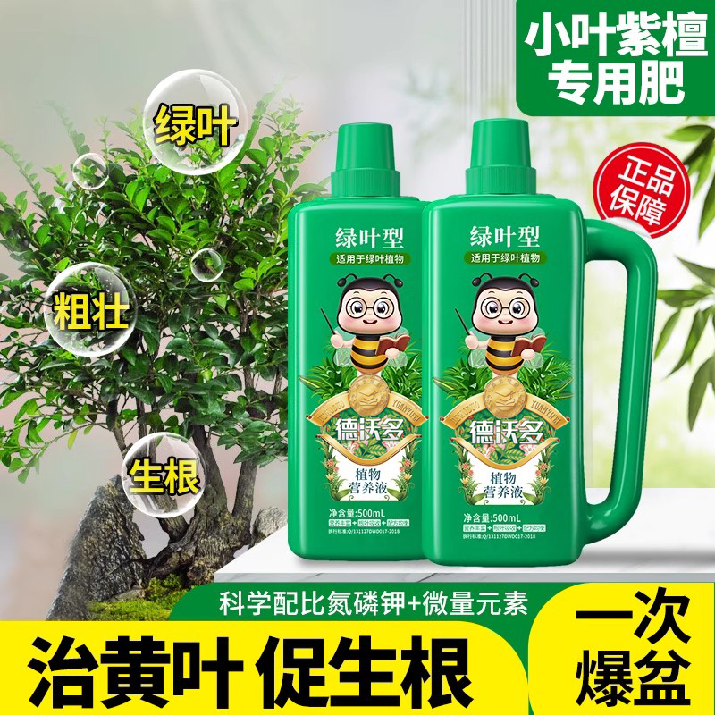 小叶紫檀专用肥营养液专治黄叶