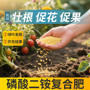 磷酸二铵化肥高氮高磷花肥料100斤 复合肥蔬菜农用种菜花卉水溶肥