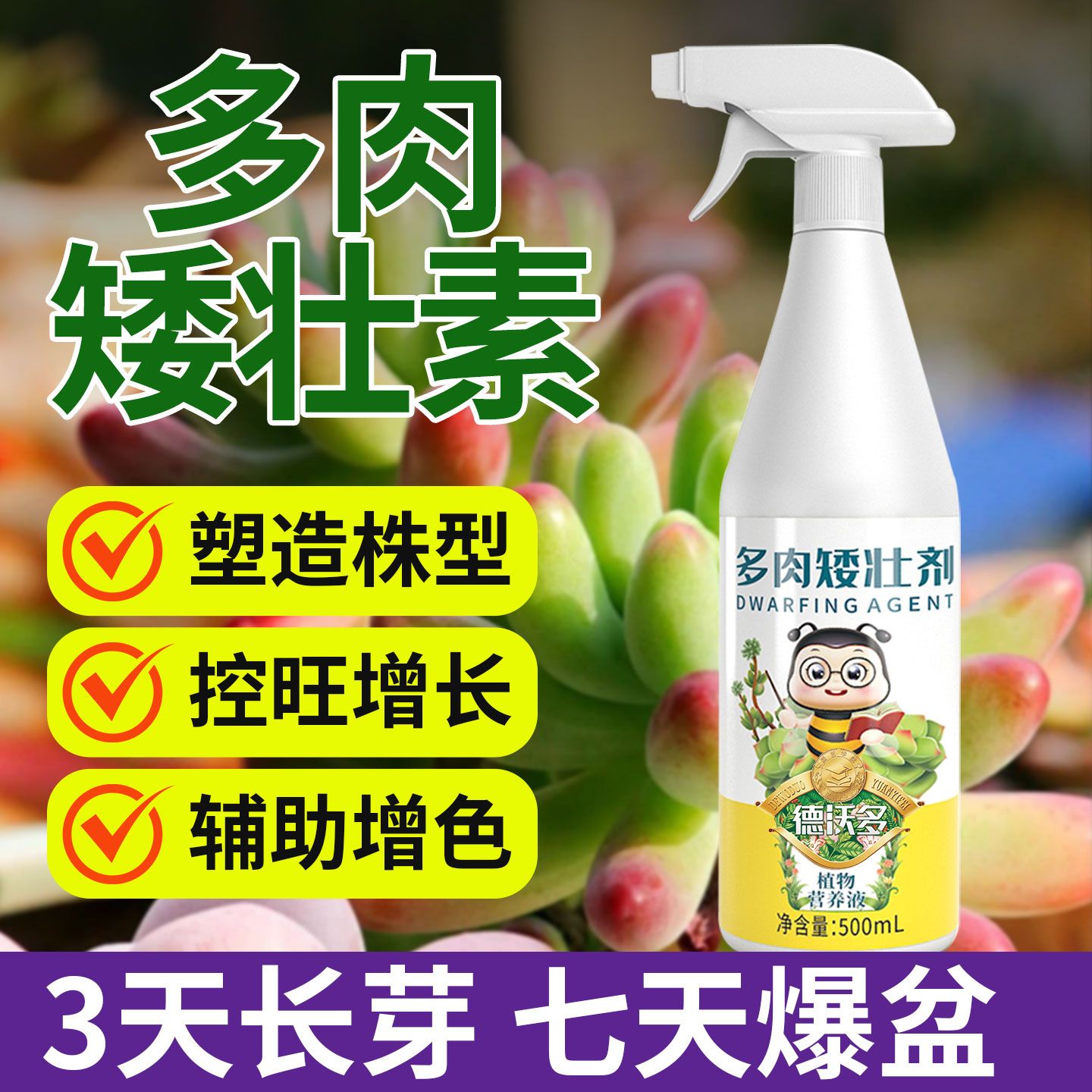 多肉矮胖素爆芽专用营养液花卉