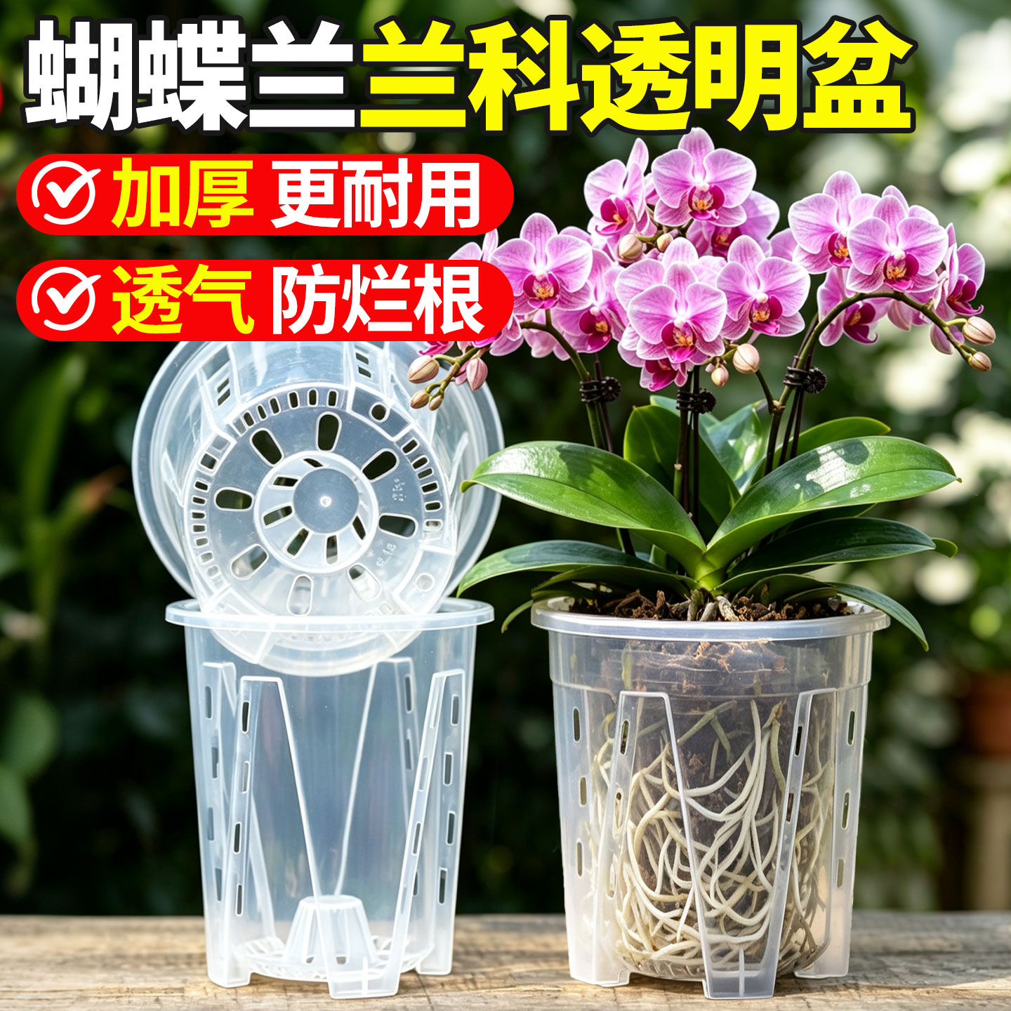 蝴蝶兰专用花盆透明加厚大号透气图片