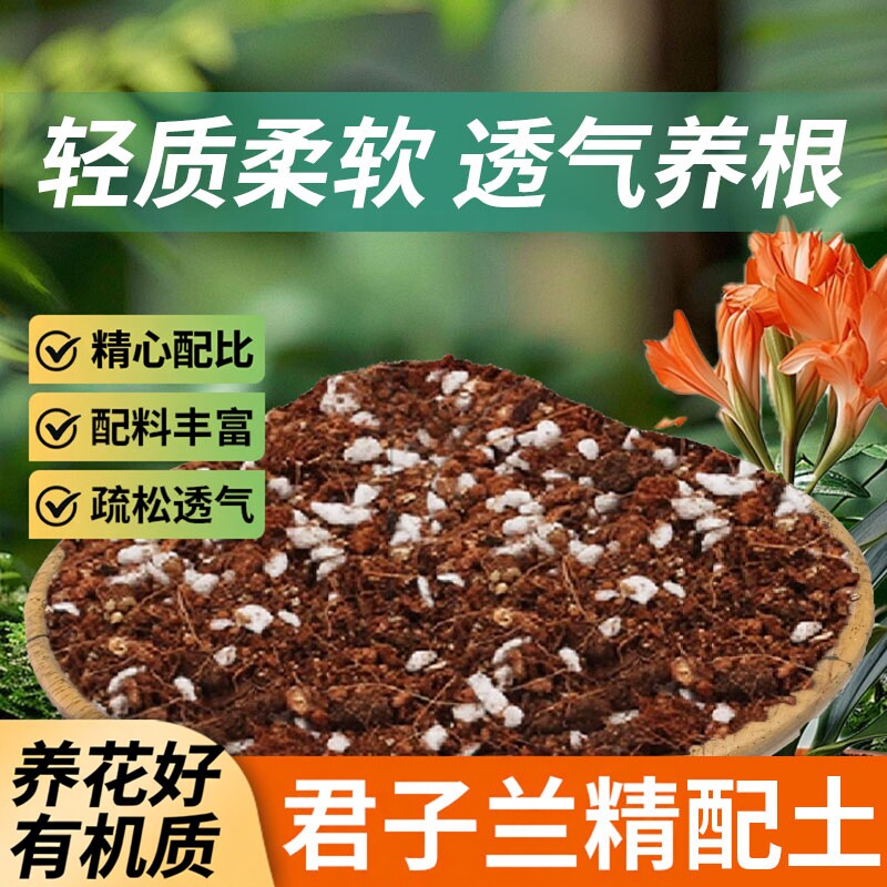 君子兰专用土兰花通用型营养土图片